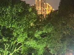 -桐乡植物园