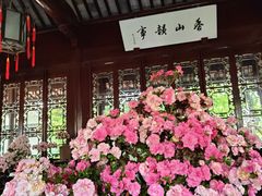 -上海醉白池公园