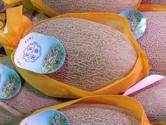 -水果e家(南城店)