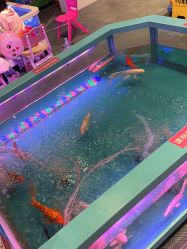 -卡通尼乐园(重庆南坪协信星光店)