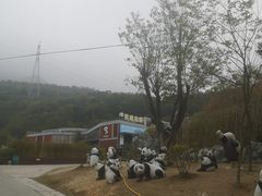 -泉州海丝野生动物世界