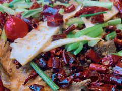 -老板恋上鱼(印象城店)