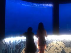 -沈阳海洋探索中心