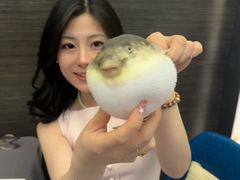 -肆月河豚·新淮扬(金融街店)