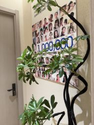 -美丽妈妈产后恢复中心(南桥旗舰店)