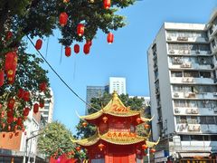 -越秀西湖花市(广州城市广场花卉店)