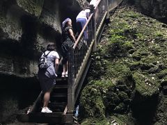 -梦幻奥陶纪景区