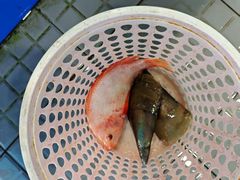 -小海豚•老字号海鲜餐厅(天涯店)