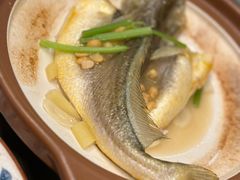 -陈鹏鹏潮汕菜(世界之窗店)