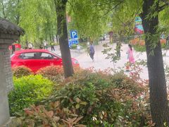 -王顺山国家森林公园