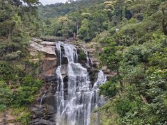 -海南热带雨林国家公园吊罗山景区