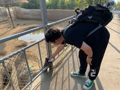 -西霞口神雕山野生动物世界