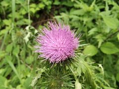 -陕西省红河谷森林公园