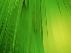 -芦芽山旅游度假区
