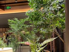 -狮王府淮扬菜(夫子庙老门东店)