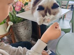 -小时光咖啡馆(北锣鼓巷店)