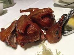 -金悦轩海鲜酒家(银河店)