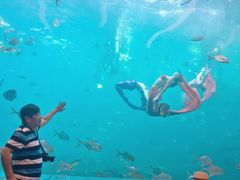 -瑞德姆美人鱼海底演艺主题餐厅(亚龙湾店)