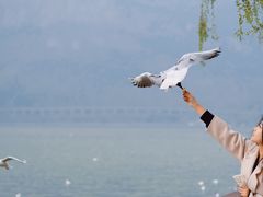 -滇池海埂公园