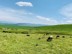 -新疆那拉提国家旅游度假区