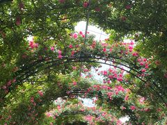 -广富林郊野公园