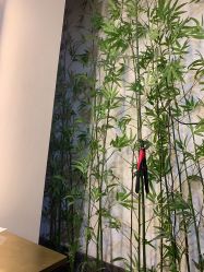 -盘子女人坊古装写真摄影(天津总店)