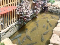 -竹泉村旅游度假区