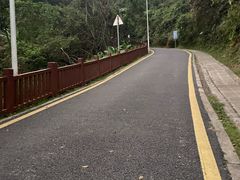 -黄埔油麻山森林公园