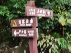 -雁荡山三折瀑景区