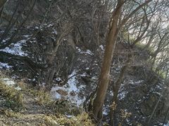 -王顺山国家森林公园