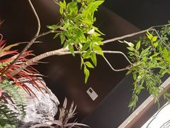 -大潮淮·淮扬菜(何园旗舰店)