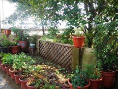 -长春公园(普阳街道)