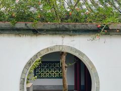 -广州神农草堂中医药博物馆
