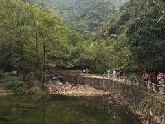 -白云源风景区