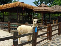 -珠海海泉湾神秘岛亲子乐园