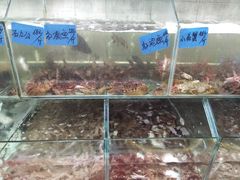 水产区-红海湾豪记海鲜大排档