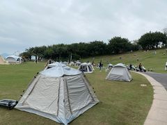 -深圳湾公园(南山区)