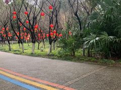 -天目湖山水园
