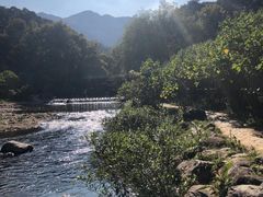 -广州市石门国家森林公园