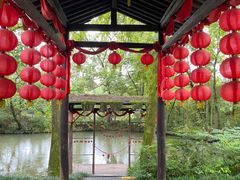 景点-西溪国家湿地公园