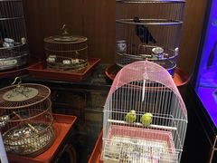 -老江南春·中国龙菜(衡山路店)