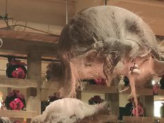 -泥糊破店小酒馆·团建聚餐(南京西路店)