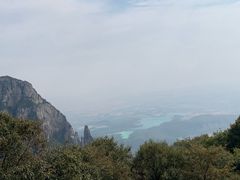 -半饱台式茶点