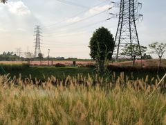 -王借岗森林公园