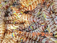 -台山侨雅海鲜粥底火锅(台山侨雅花苑店)