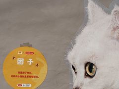 -方浜中路45弄小区