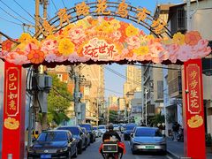 -溪岸路花鸟市场