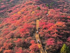 -水峪民俗村
