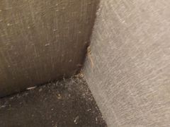 -普吉岛凯悦酒店