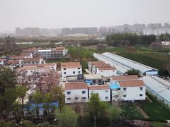 -商丘站